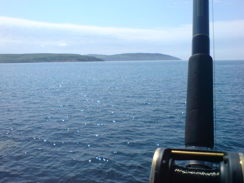 DSC00300.jpg