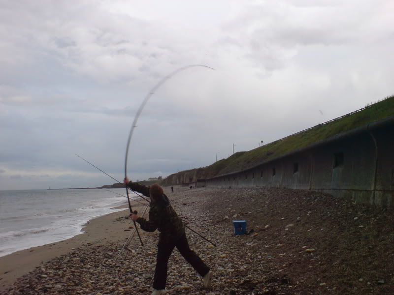 DSC00354.jpg