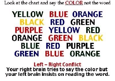 testurleftbrain.jpg