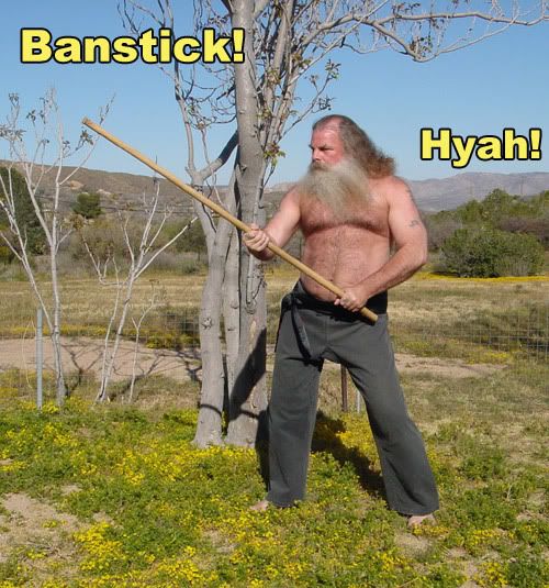 banstick_lg.jpg