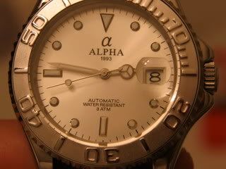 alpha yachtmaster