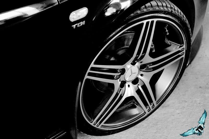 IMG_0665bw.jpg