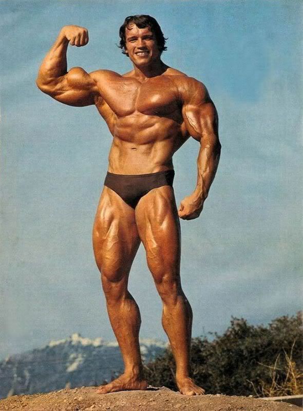 Schwarzenegger2.jpg