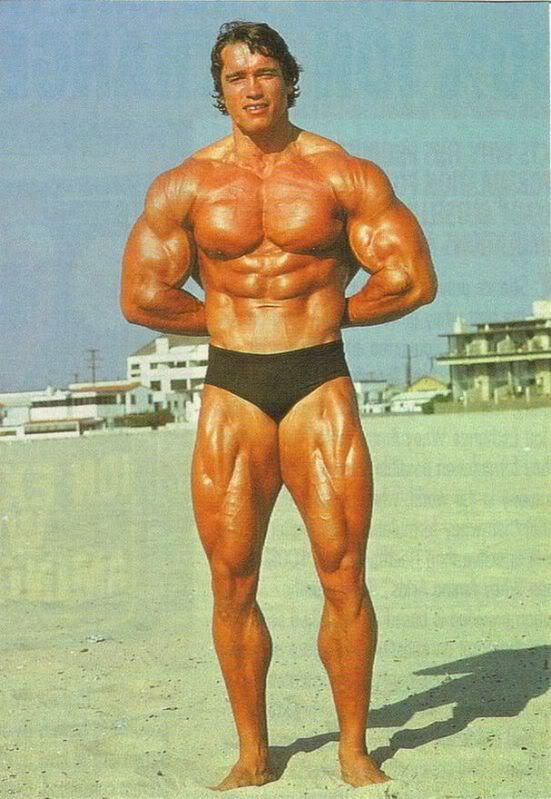 Schwarzenegger3.jpg