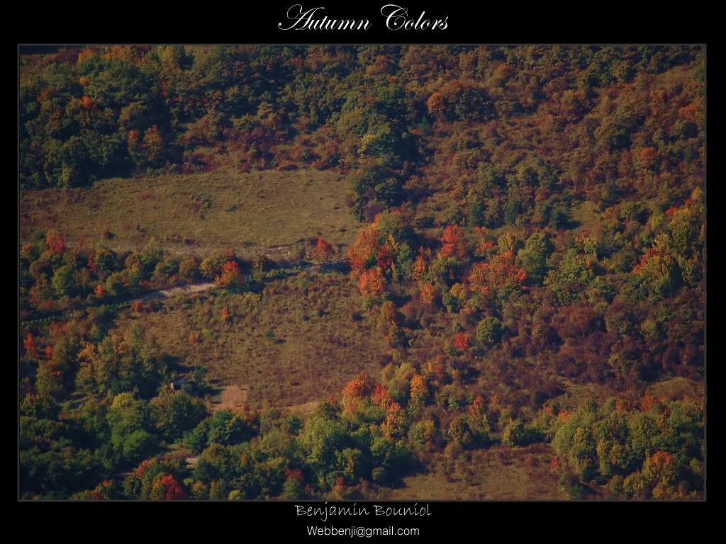 AutumnColors.jpg