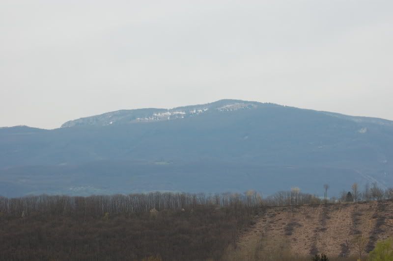 DSC_0006.jpg