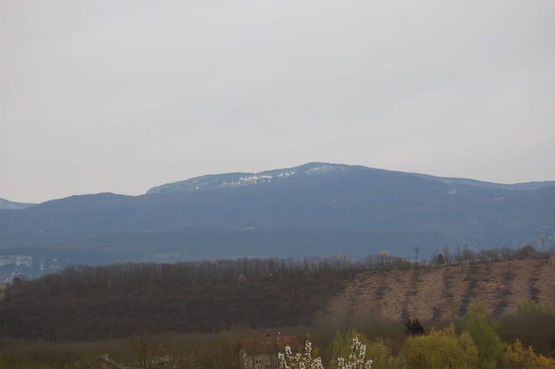 DSC_0009.jpg