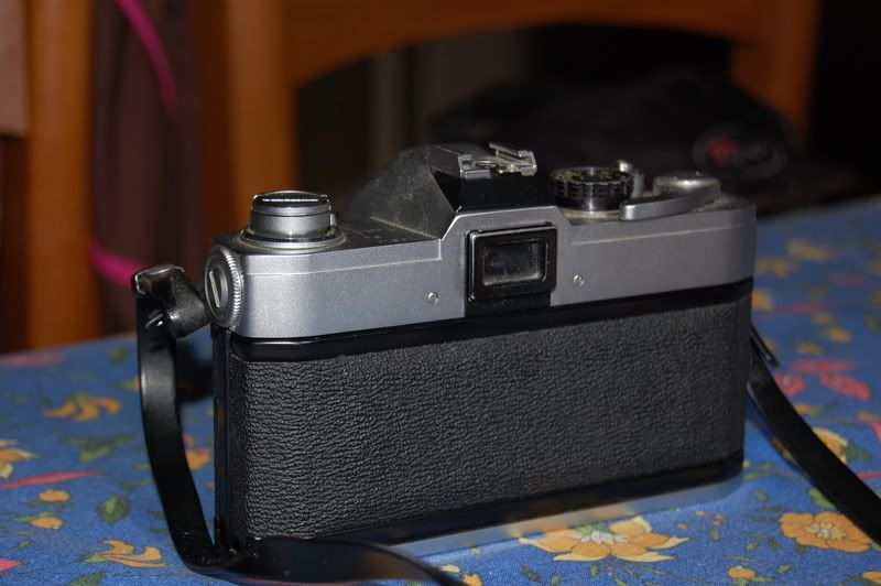 DSC_0142.jpg