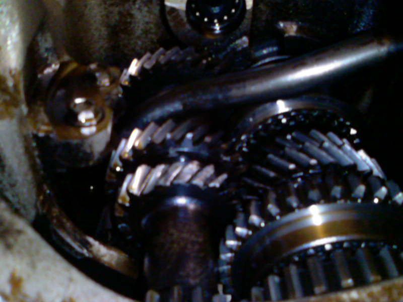 Posted Image