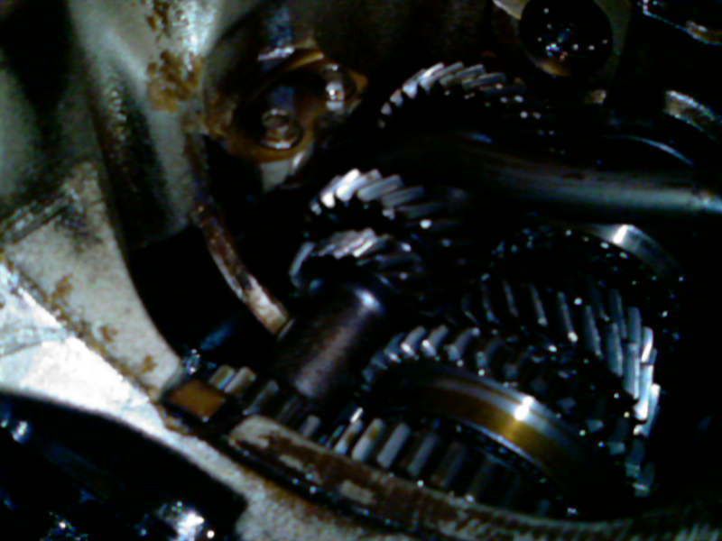Posted Image