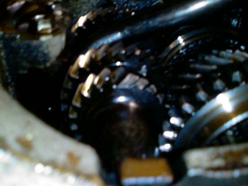 Posted Image