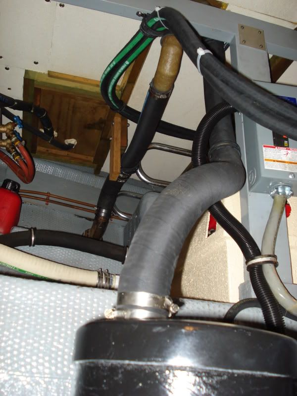 lugnuts021.jpg