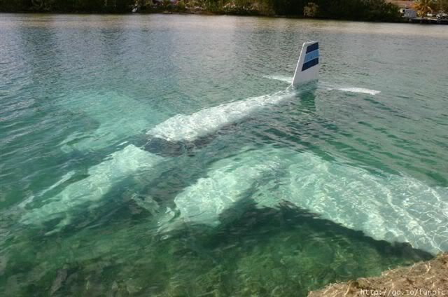 plane under water Pictures, Images and Photos