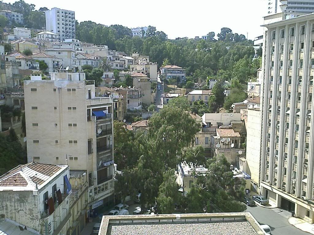 IMAGE: http://i134.photobucket.com/albums/q84/coolershaka/Algiers%20July%202007/IMAGE_082.jpg