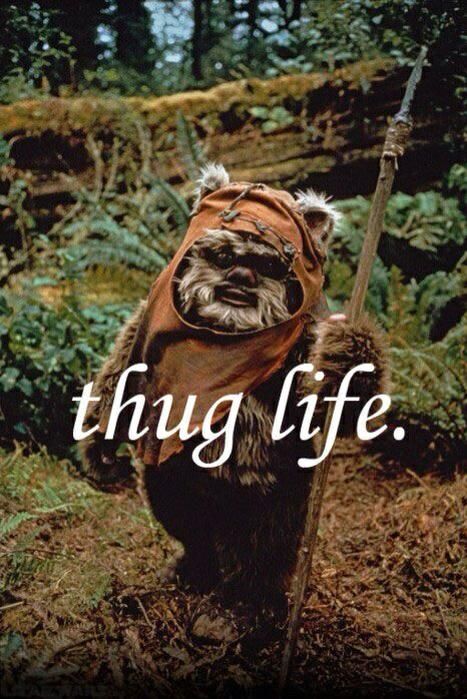 ewokthuglife_zps0a45e29b.jpg