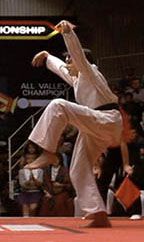 karate-kid-crane-kick_zpsa70c730c.jpg