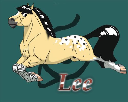 Lee.jpg Lee Horse image by 16handssam