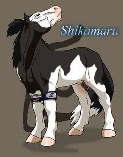 Shikamaru.jpg Shikamaru Horse image by 16handssam
