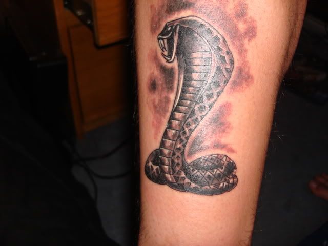 cobra tattoo. My New Cobra Tattoo