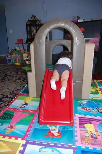 16 months old