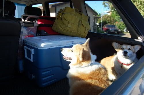 Camping Day1