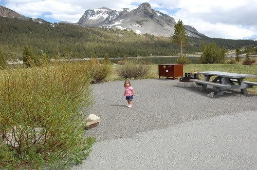Camping Day1