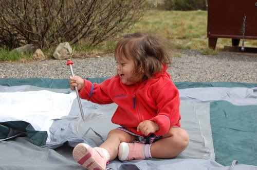 Camping Day1
