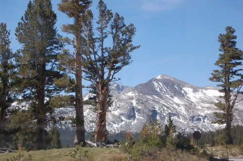 Camping Day2