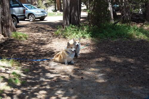 Camping Day2
