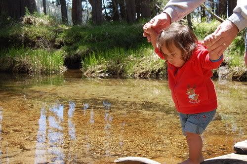 Camping Day2