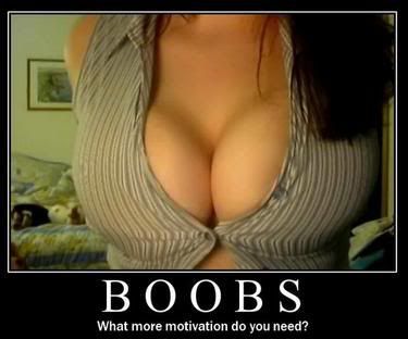 c55b12a832ffb6a4567dc094b57d6.jpg