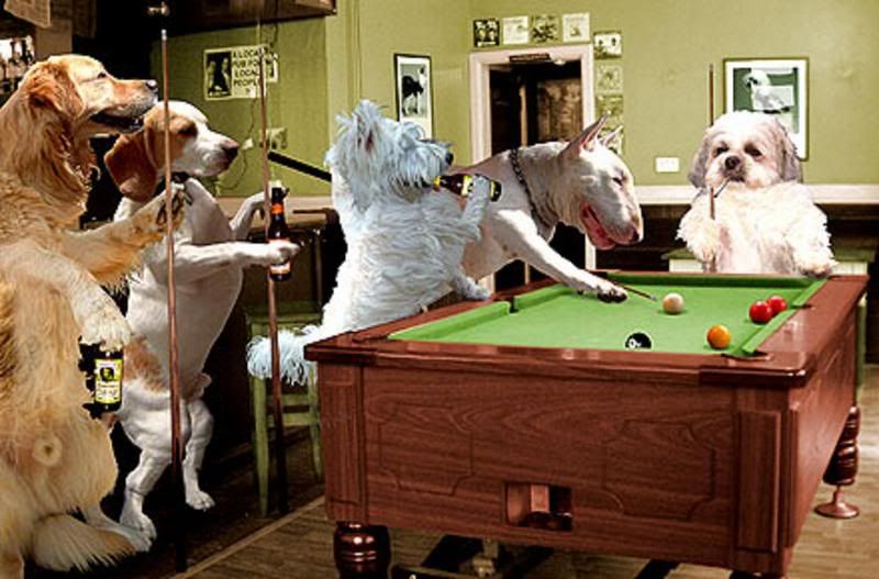 Dogs playing pool