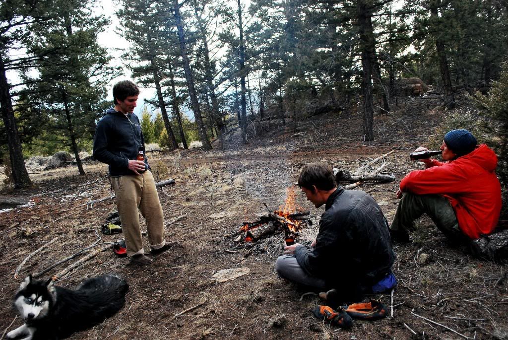 Boys, Puppies, Fire, Beer