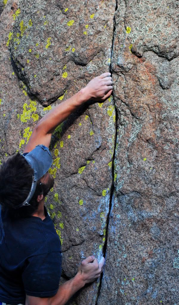 Peter Ramos sends Painted Lady Crack