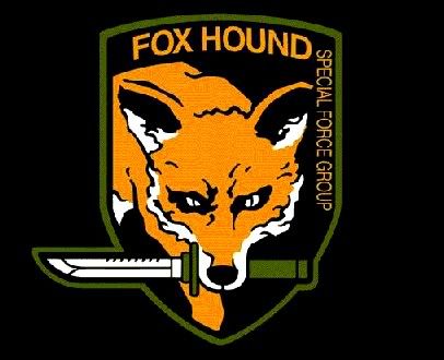foxhound Pictures, Images and Photos