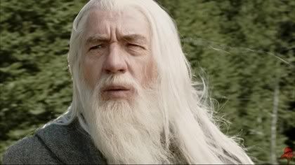 gandalf Pictures, Images and Photos