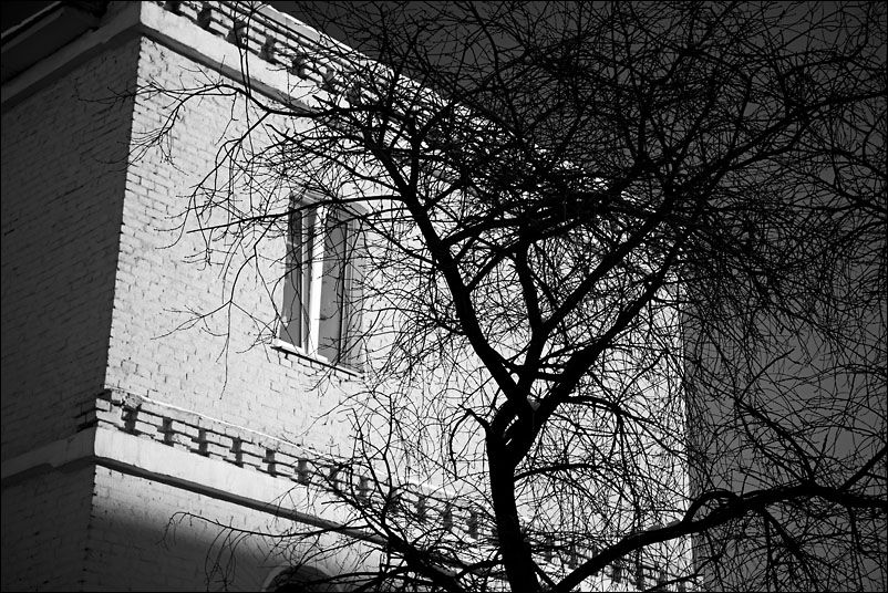 Москва. Декабрь 2009 года