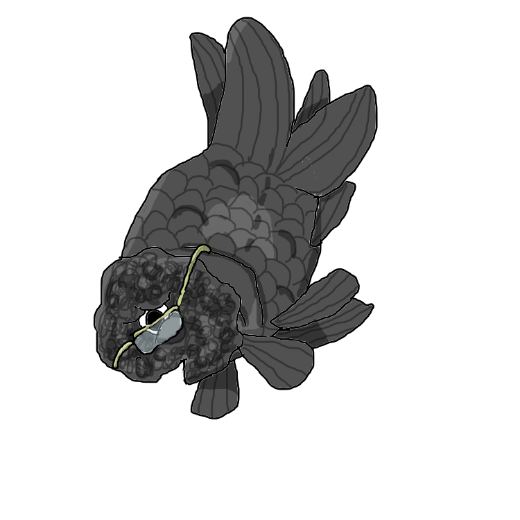 [Image: scientific%20ranchu.png]