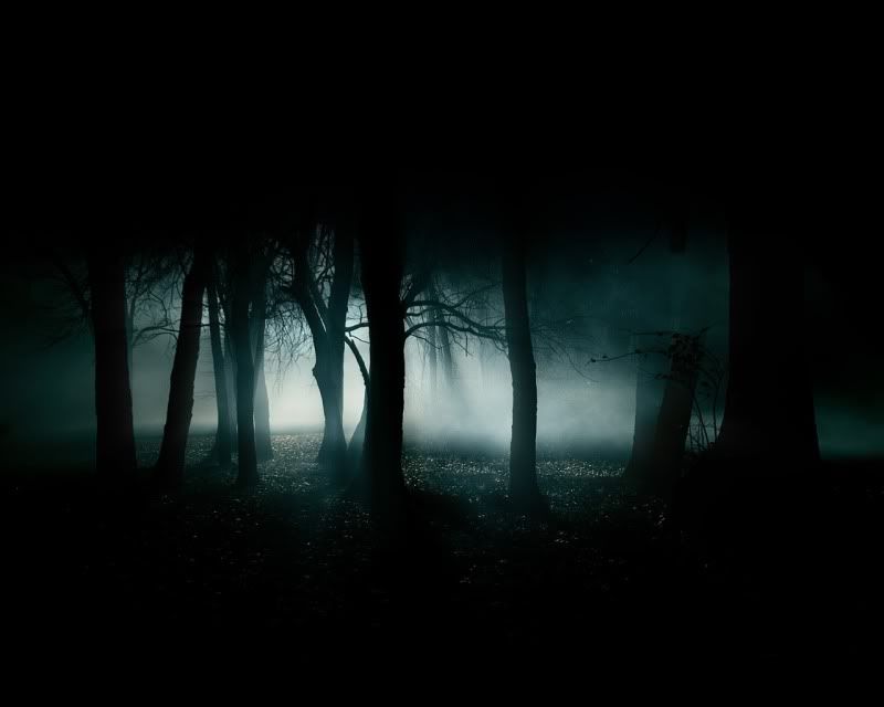 dark forest wallpaper. Dark Forest Wallpaper Image