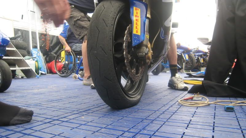 [Image: 100_5242.jpg]