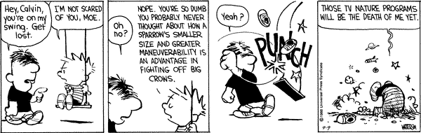 [Image: 10232009.gif]
