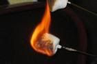 marshmellow Pictures, Images and Photos