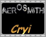 Aerosmith Cryin Album