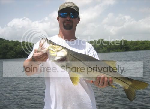 bigSnook1b.jpg