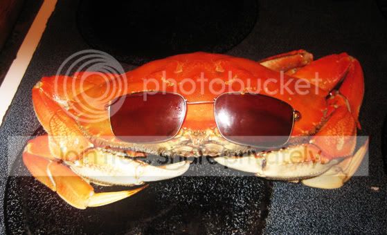 crabby2.jpg