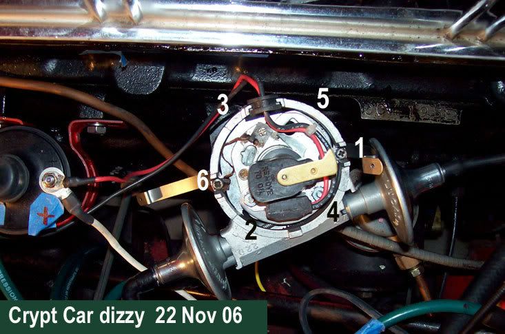 dizzy22nov.jpg