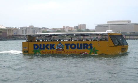 duck2.jpg