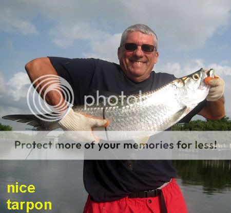 nicetarpon1web.jpg