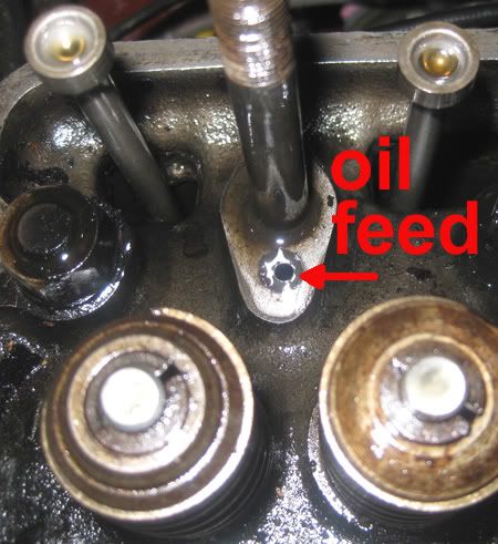oilFeed.jpg