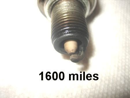 plugs1600.jpg